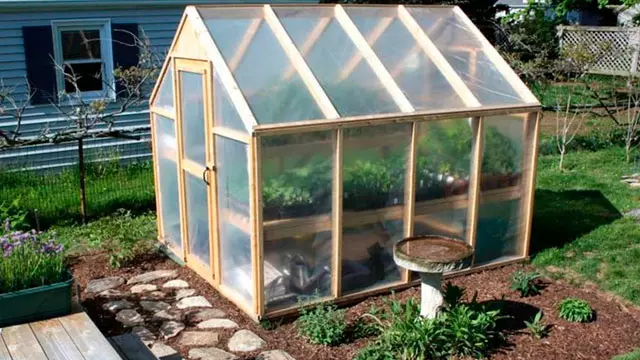 Invernadero Casero