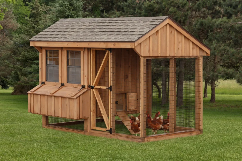 Gallinero